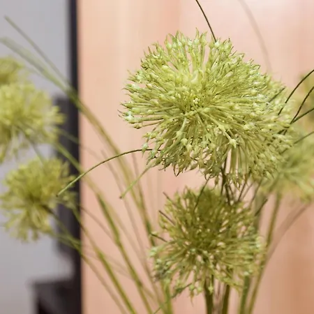 شقة Buongiorno يايتشه